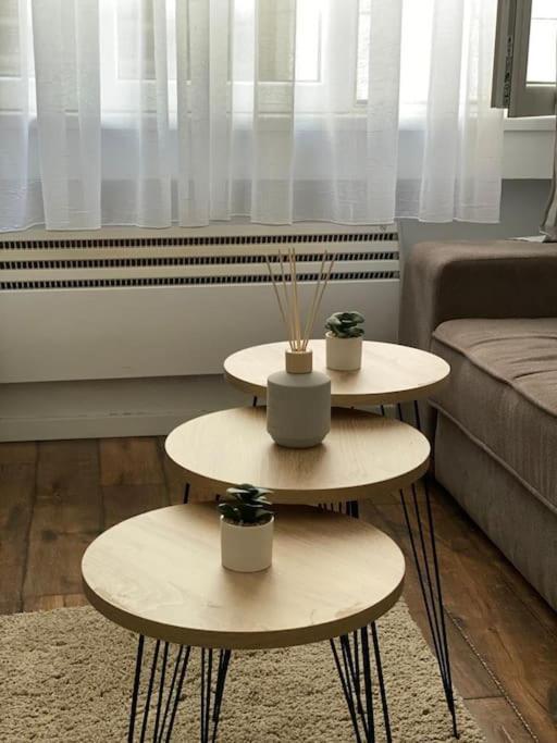 Apartment In Belgrade With Small Parking Space Екстериор снимка